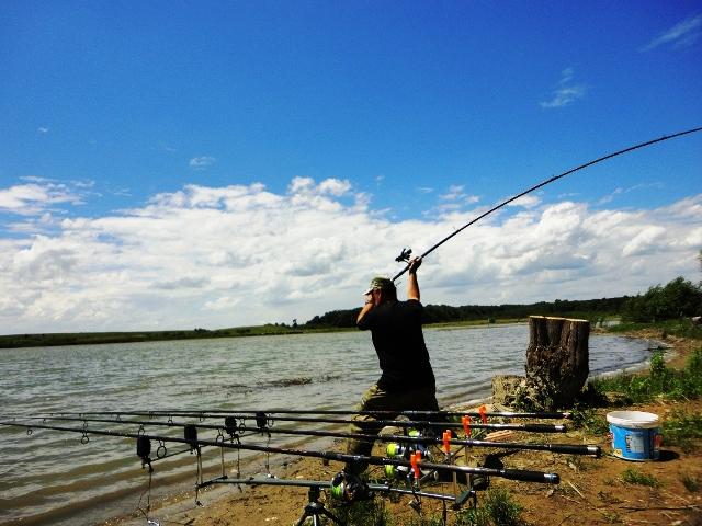 diverse - dsc09640.JPG